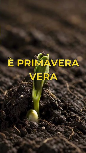 Se TORNANO le rondini, la PRIMAVERA è davvero ARRIVATA?