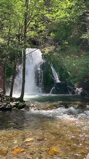 Sly Park in Pollock Pines, CA is a hidden gem of beauty. Check it out for yourself. #california #nature #travel #adventure #SlyPark