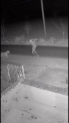 Do you think this is real? Apparently it was captured by someone's CCTV. Do ghosts really exist? | Auntie Momoza