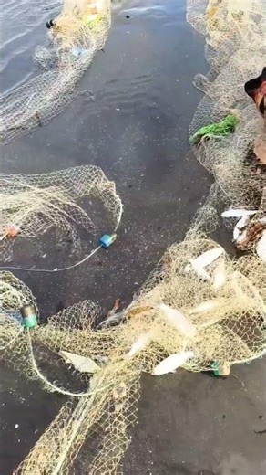 naghagpat na pud sila sa ilang kuhang isda #pukot