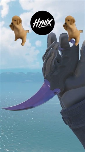 My favorite CS2 Knife - Karambit #cs2 #viral #fyp