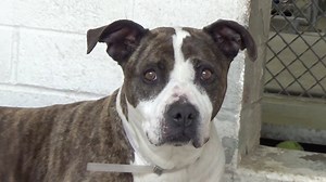 3.5K views · 30 reactions | RESCUED - moved to SAFE Album on 05/02...