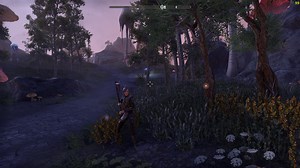 ESO Best Dragonknight Stamina Build