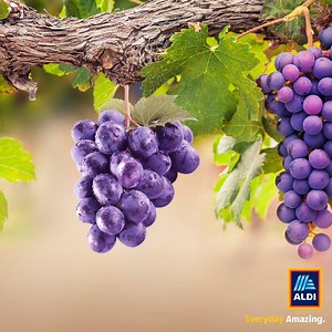 8.5K views · 20 reactions | Our Wine Lover’s sale is worth raising your glass to! We have something to suit everyone’s taste, whether you’re wild for white or rave about red. | Aldi Ireland | Facebook