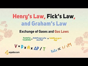 Exchange of Gases and Gas Laws | Henry's Law Fick's Law and Grahams Law