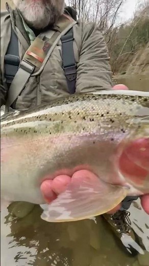 Elk Creek - Steelhead Fishing | Pennsylvania