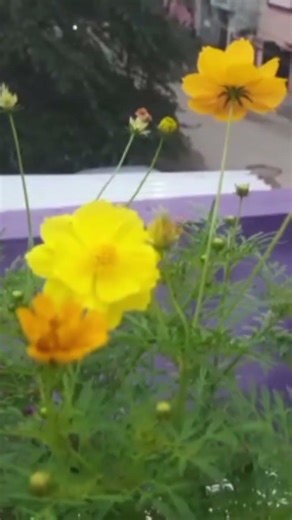 Qualification and Quantification#engineering students#motivationalspeech