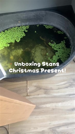 Enhance Your Reptile Care with ReptiZoo Products