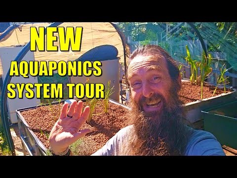 New Aquaponics System Tour Components and Issues