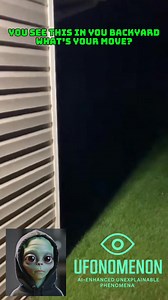 He went in his kitchen for a coffee and he sees this in his yard! Must see! #alien #aliens #yard #garden #scary | Ufonomenon