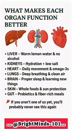 What Makes Each Organ Function Better | Simple Daily Habits for a Healthier Body #optimalhealth