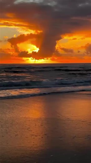 Flowtation: A Journey Through Dreamy Skies