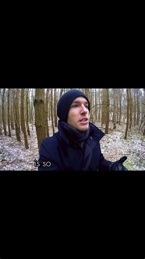 Understanding Intelligence and Its Misconceptions