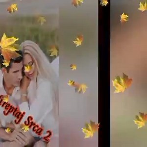 Saban Saulic - Prestacu da verujem u ljubav | Treptaj Srca 2