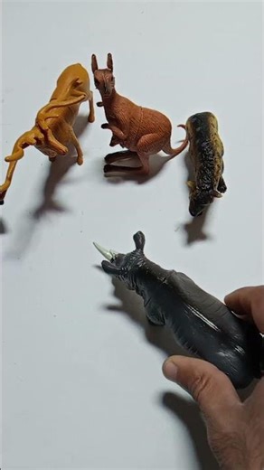 ​How to Create Animal Toy ASMR: Rhinoceros Rhythm & Gorilla Battles! 🦏🥁