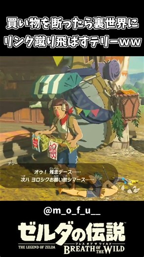 テリーの買い物を断ったら裏世界に蹴り飛ばされたリンク【ゼルダの伝説 ブレス オブ ザ ワイルド】