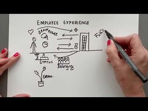 What is Employee Experience?