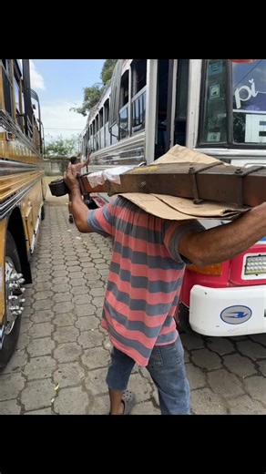 Understanding Normality in Today's Society