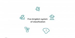 LC Biology Boost | Bacteria | Diversity of Organisms | Five Kingdoms of Classification