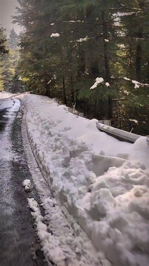 The Life I Want 🌲❄️🌨️ || #shorts #nature #travel #trip #snow #kashmirtravel