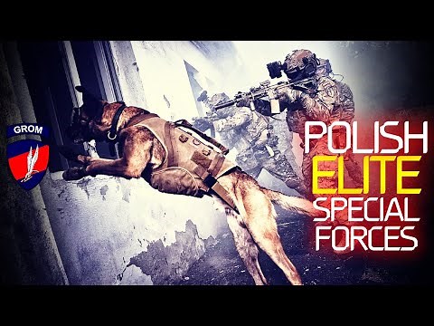 Poland's ELITE Special Forces Unit: JW GROM