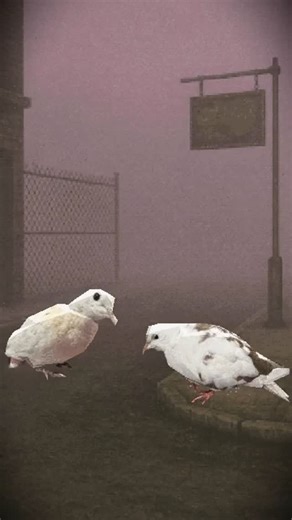 Ekzentriko on Instagram: "Pt. 18 of “Making your pets or pfps into ps1 style wallpapers for monies” - BORB MOGGED If you want a commission of your pet or whatever, send me a dm with monies offer and what you want Thanks @opine_informer for the cool pigeons! . . . #larry #blender #memes #3dart #3dmodel #3dmodelling #ps1 #retrographics #y2k #skibidi #skibiditoilet"