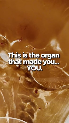 REAL BODIES | LAS VEGAS ✨ on Instagram: "Every memory you’ve kept. Every fear you’ve felt. Every dream you’ve had. Every decision you’ve ever questioned. It all lives here. Your brain isn’t just anatomy — it’s your personality, your instincts, your story. And seeing it up close changes the way you think about being human. If this stopped you mid-scroll, imagine seeing it in real life. 📍 Real Bodies Exhibition Horseshoe Las Vegas — Lower Level 🕙 Open daily 🎟 Tickets available online and at the