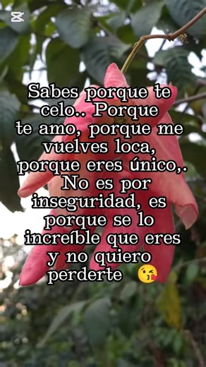 110K views · 1.4K reactions |  | Amor verdadero | Facebook