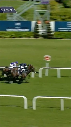 James J Braddock chins Pierre Bonnard in the Derby Trial! 👀