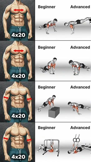From Beginner to Pro: The Ultimate Chest Progression Guide #bodyweightexercises #chest