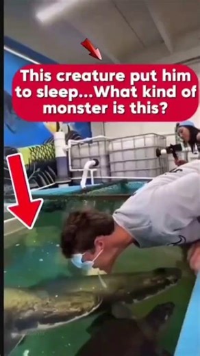 This Fish Strikes Faster Than Your Blink! 😱🐟#guessinggame