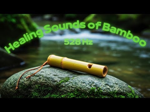 528 Hz Healing Sounds | Bamboo Flute Meditation for Relaxation & Mindfulness
