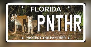 Florida redesigns 'Protect the Panther' license plate