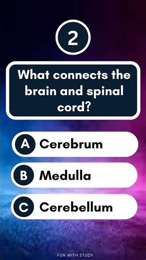 What connects the brain and spinal cord? ##ytshorts #shortsfeed #shortsbeta #quiz #generalknowledge