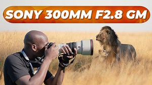 Earlier this week, Sony announced the FE 300mm f/2.8 GM OSS, so we...