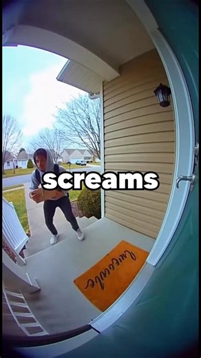 Failed Package Theft Caught on Camera