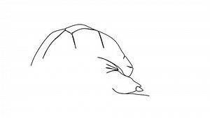 Turtle One Line Drawing Animation Video Stock Footage Video (100% Royalty-free) 3715312551 | Shutterstock
