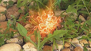 20K views · 43 reactions | It's a real thing. A garden torch is a...