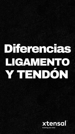 5️⃣ DIFERENCIAS ENTRE TENDÓN Y LIGAMENTO. 👉Esto hay que sabérselo. ✔️Tendones: ¿qué son?. 💪 Los tendones son estructuras de tejido conectivo fibroso que unen los músculos a los huesos. En otras palabras, son haces o bandas de fibras conjuntivas ricas en colágeno muy resistentes que se sitúan en los extremos de los músculos, sujetando estas fibras musculares al hueso. 💪 Como vemos, los tendones son agrupaciones de tejido conjuntivo que unen entre sí los músculos y los huesos, siendo fibras ric