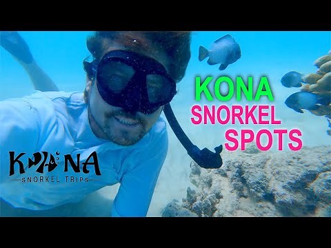 Best Snorkeling Big Island Guide: Kona Snorkeling in Kailua Bay