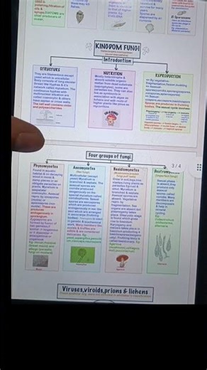 Biological classification one shot by vipin sir