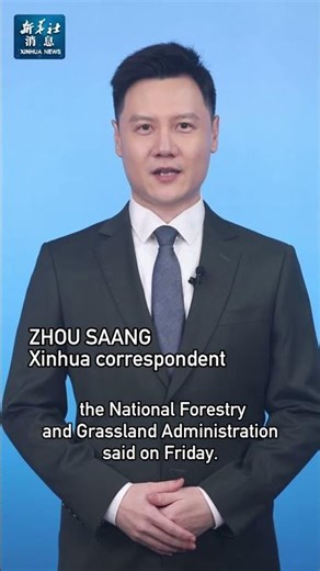 Xinhua News | China sees sustained progress in land greening