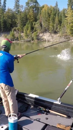 CRAZY Musky JUMP Caught on Camera! 🎣✈️ #musky #muskyfishing #fishingshorts