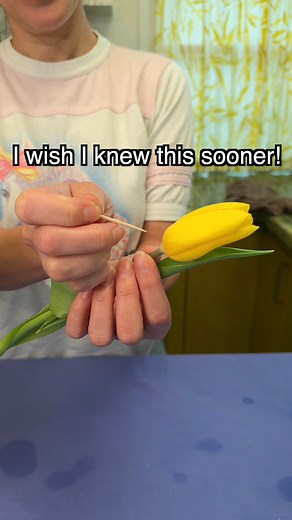 Keep your tulips from drooping with this simple trick! It acts as an exit for the air bubble that gets trapped in the stem so the water can reach the flower keeping the tulip upright. #tulips #flowers #tips #tipsandtricks #bouquet #springtime #easter | Annie Lynn