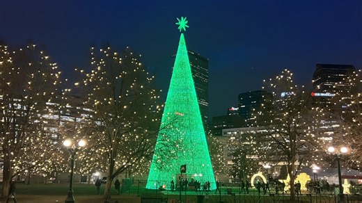 Denver's Mile High Tree moves to a new home for the holidays