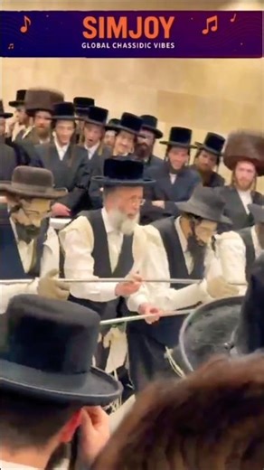 Wedding in a Hasidic vibe #wedding #israel #dance