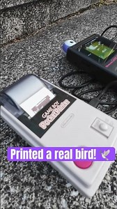 Shooting a Sparrow with Game Boy Camera & Printing it in 2025 🕊️📸
