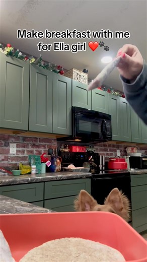 Breakfast for Ella girl! Some mornings we like to keep it simple and easy!❤️🐾 | M&M Shepherd Farms