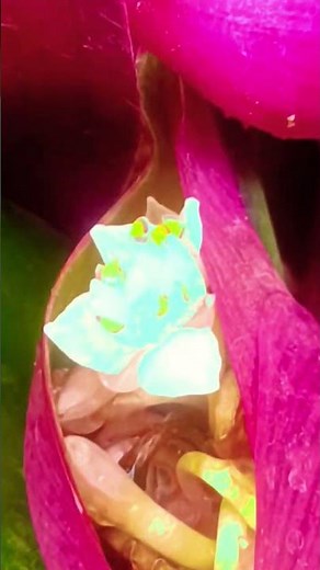 Marhaba (Official Video)Dharmesh D, Amy Aela, Divya Kumar, Abhishek Thakur | New Hindi Song 2025