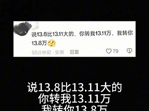 13.8和13.11哪个大？